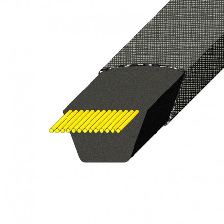 CORREA OLEOSTATIC GOLD A 89