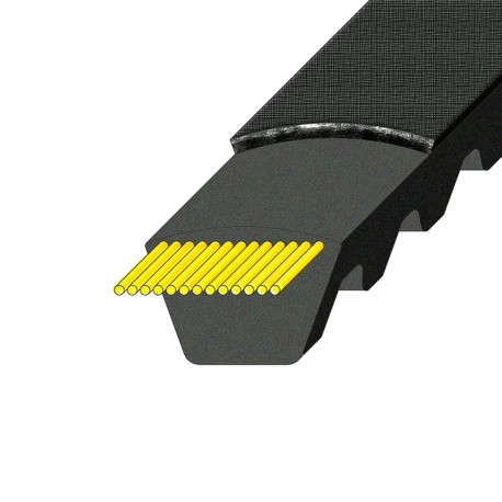 CORREA LINEA GOLD XPZ 730