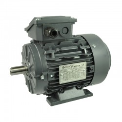 MOTOR T3AR100L3-4 5,5CV 4KW 1500RPM 230/400V 50HZ B3 IE3