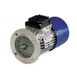 MOTOR BM63D8 0,09CV 0,07KW 750RPM 230/400V 50HZ B5
